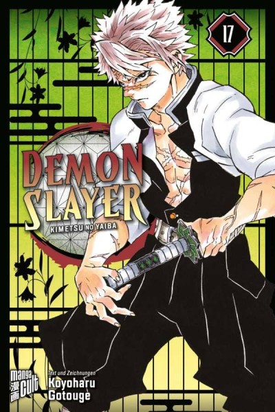Demon Slayer - Band 17