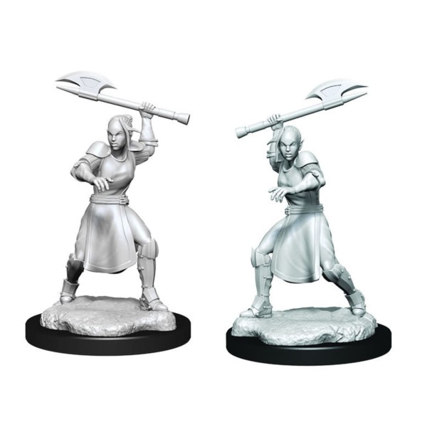 Critical Role Unpainted Miniatures - Half-Elf Echo Knight and Echo Female