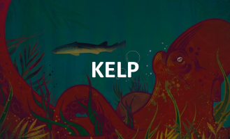 Kelp