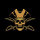 Nordic Pirates
