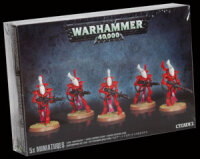 Aeldari: Wraithguard