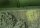 Russian Thick Mud  - Thick Mud Textures 200 ml