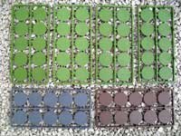 Renedra: Plastik Bases 25mm rund (x50)