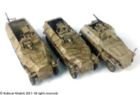 SdKfz 250/8 & 251/9 Exp. (1/56)