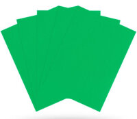 Dragon Shield Matte: Apfelgrün (100 Stück)