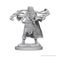 Human Male Sorcerer
