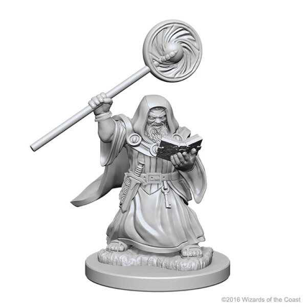 Dwarf Male Wizard