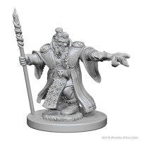 Dwarf Male Wizard