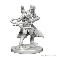 Human Male Ranger