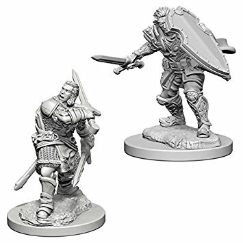 Human Male Paladin