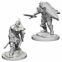 Human Male Paladin