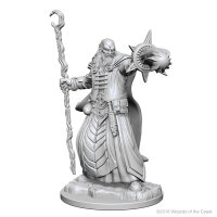 Human Male Wizard