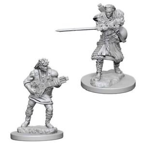 Human Male Bard