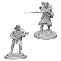 Human Male Bard