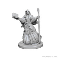 Human Female Wizard