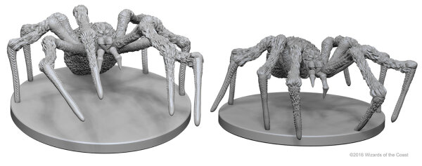 Spiders
