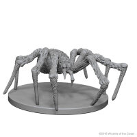 Spiders