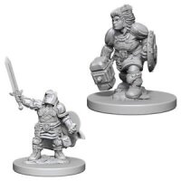 Dwarf Female Paladin