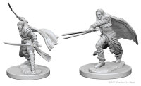 Elf Male Ranger