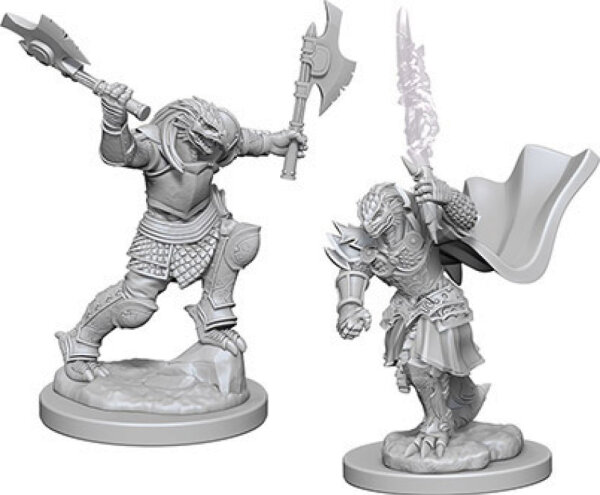 Dragonborn Female Fighter