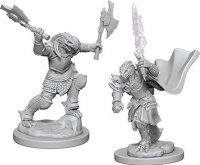 Dragonborn Female Fighter