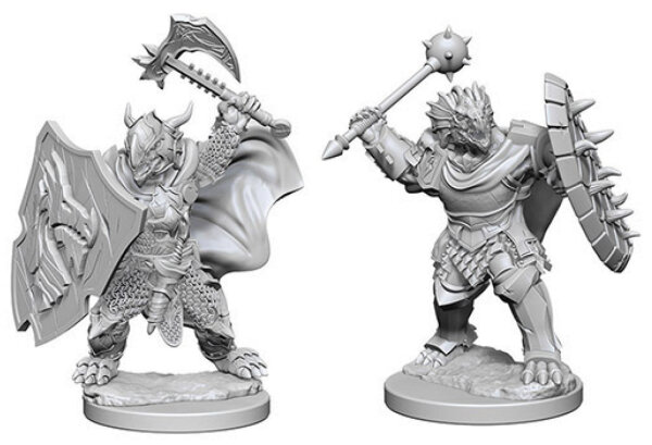Dragonborn Male Paladin