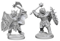Dragonborn Male Paladin