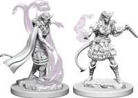 Tiefling Female Sorcerer