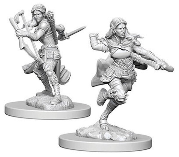 Air Genasi Female Rogue