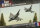 Team Yankee French Mirage 5 (x2)