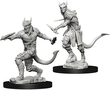 Tiefling Male Rogue