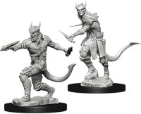 Tiefling Male Rogue