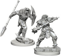 Dragonborn Fighter with Spear