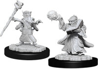 Male Gnome Wizard