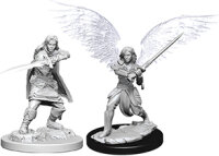 Female Aasimar Fighter