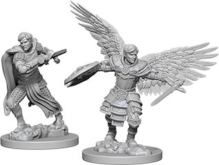 Male Aasimar Fighter