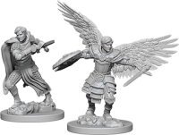 Male Aasimar Fighter