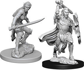 Female Elf Fighter