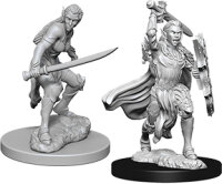 Female Elf Fighter