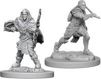 Male Elf Fighter