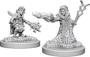 Female Gnome Wizard