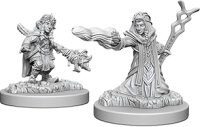 Female Gnome Wizard