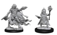 Pathfinder Deep Cuts Mini.: Evil Wizards