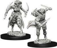 Tiefling Female Rogue