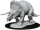 Triceratops