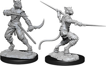 Male Tabaxi Rogue