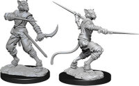 Male Tabaxi Rogue