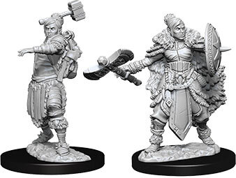 Female Half-Orc Barbarian