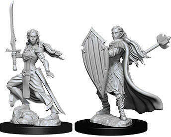 Female Elf Paladin