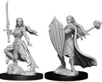 Female Elf Paladin